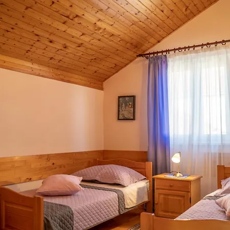 Zen Apartament